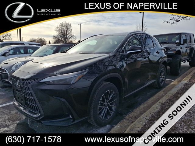 2025 Lexus NX 350