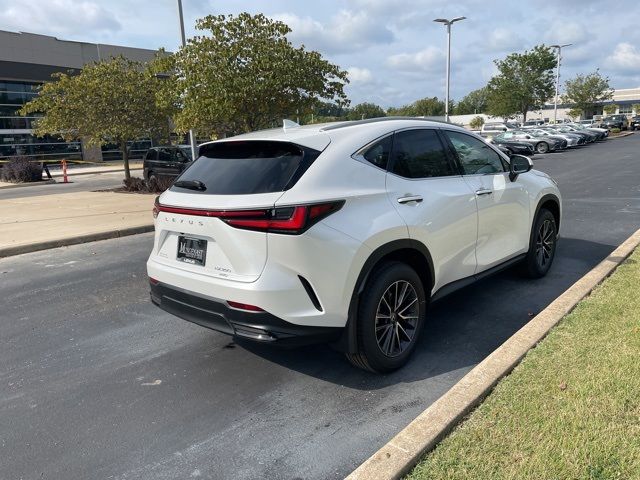 2025 Lexus NX 350