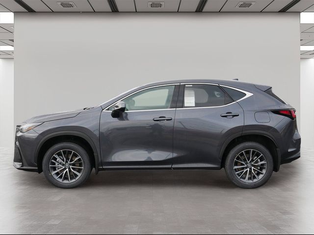 2025 Lexus NX 350