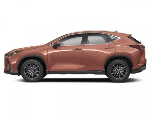 2025 Lexus NX 350