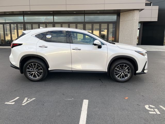 2025 Lexus NX 350