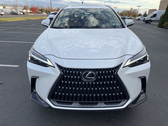 2025 Lexus NX 350