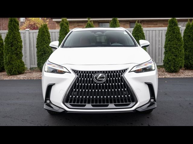 2025 Lexus NX 350