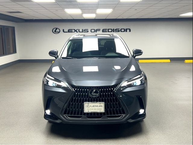 2025 Lexus NX 350