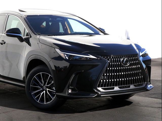 2025 Lexus NX 350