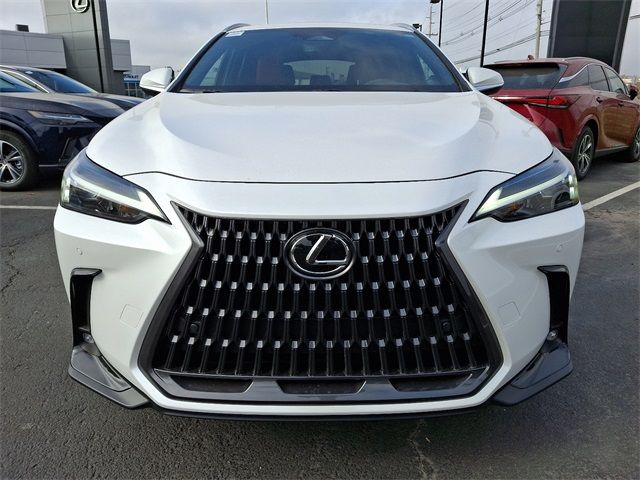 2025 Lexus NX 350