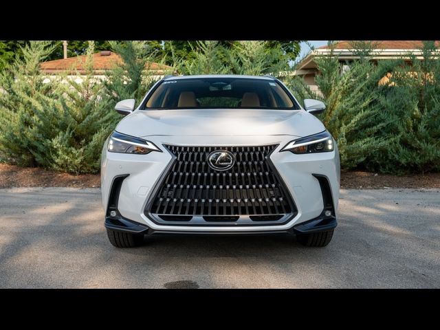 2025 Lexus NX 350