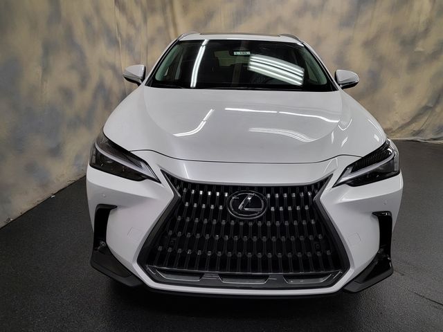 2025 Lexus NX 350