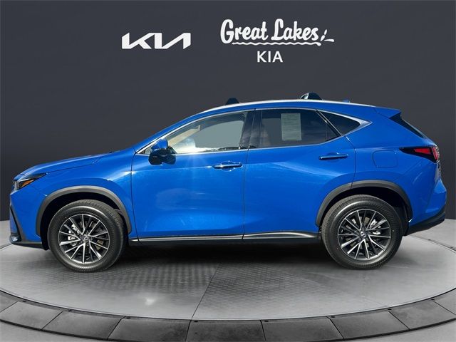 2025 Lexus NX 350