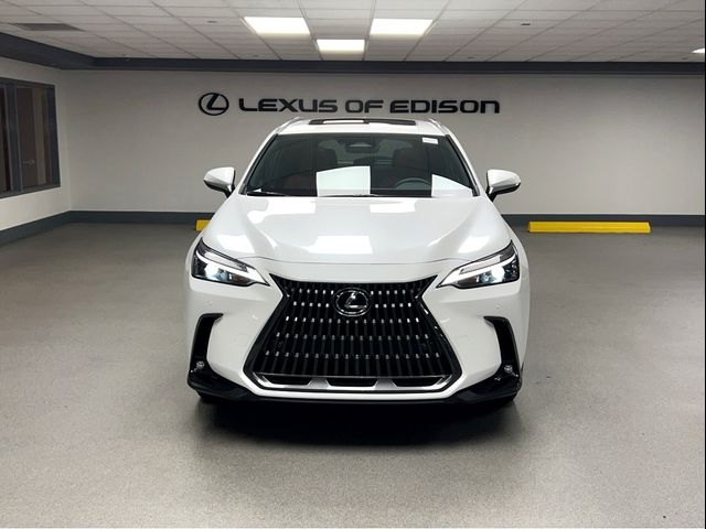 2025 Lexus NX 350