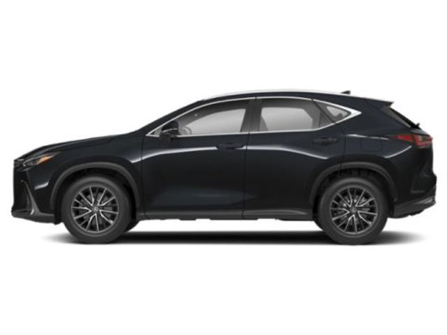 2025 Lexus NX 350