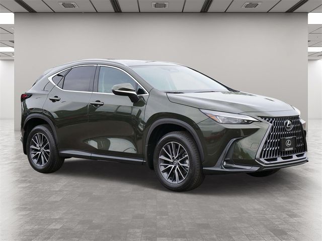 2025 Lexus NX 350