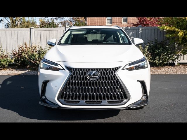 2025 Lexus NX 350