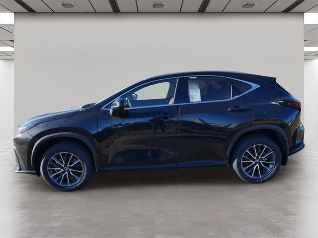 2025 Lexus NX 350