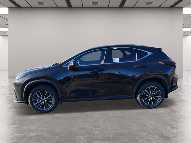 2025 Lexus NX 350