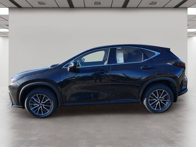 2025 Lexus NX 350