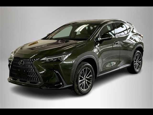 2025 Lexus NX 350