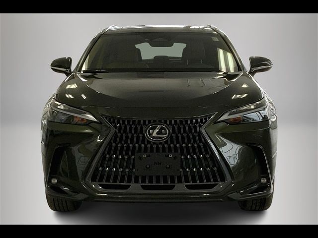 2025 Lexus NX 350