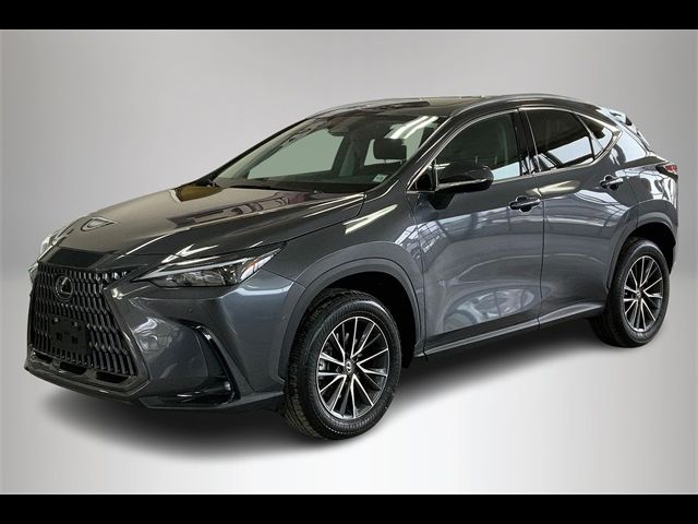 2025 Lexus NX 350