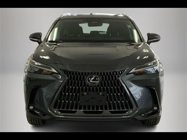 2025 Lexus NX 350