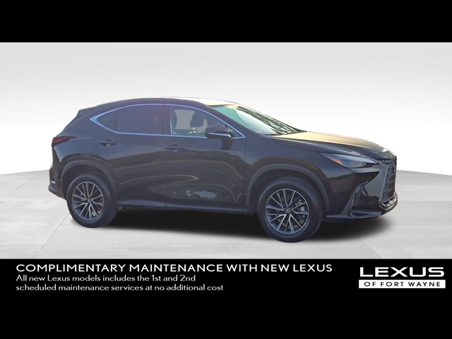 2025 Lexus NX 350