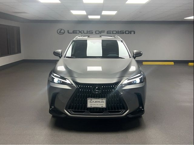 2025 Lexus NX 350