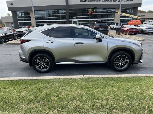 2025 Lexus NX 350