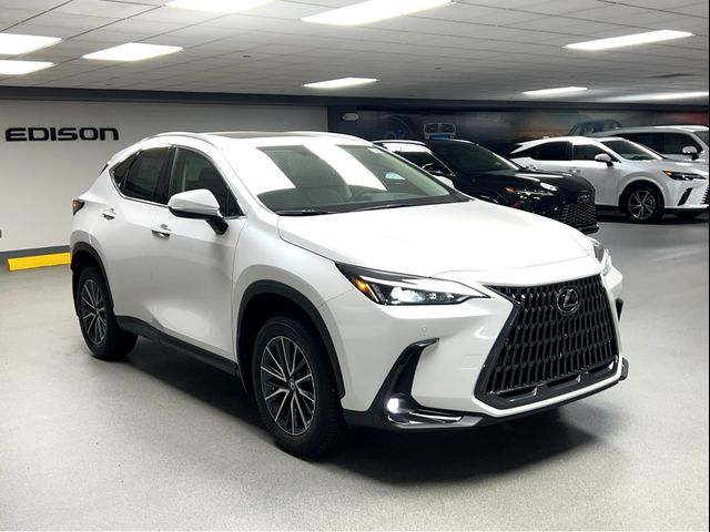 2025 Lexus NX 350