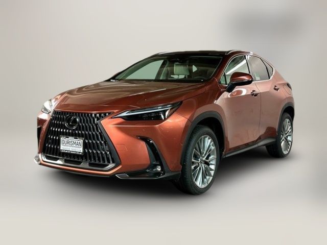 2025 Lexus NX 350 Luxury