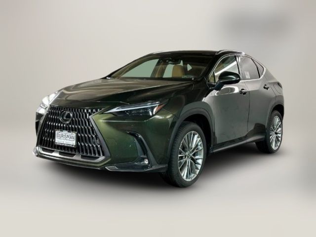2025 Lexus NX 350 Luxury