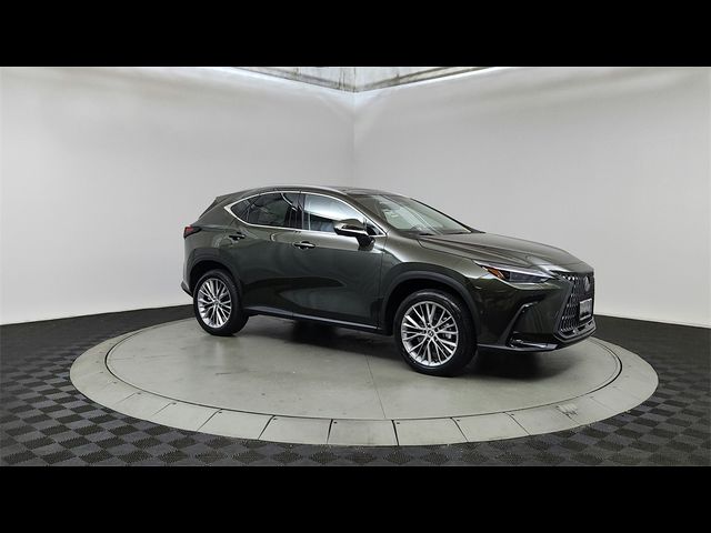 2025 Lexus NX 350 Luxury