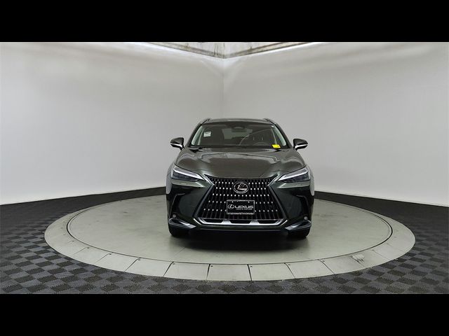 2025 Lexus NX 350 Luxury