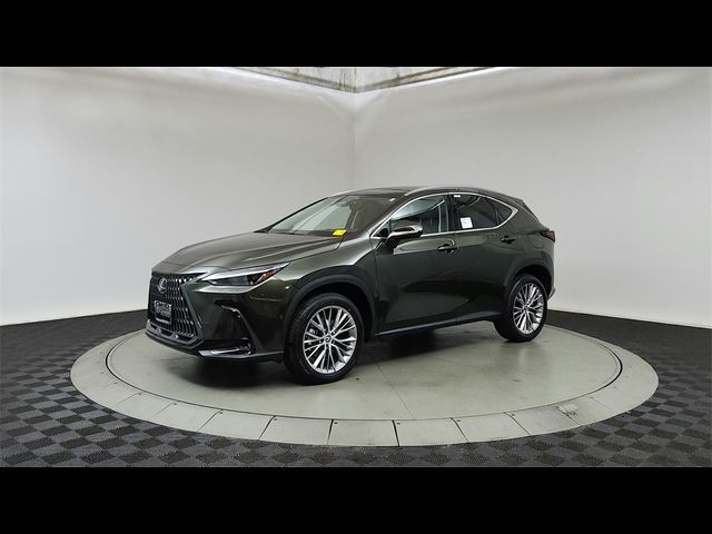 2025 Lexus NX 350 Luxury