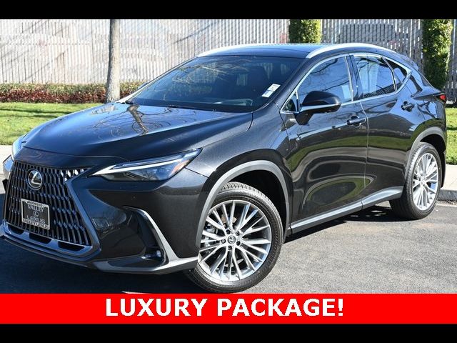 2025 Lexus NX 350 Luxury