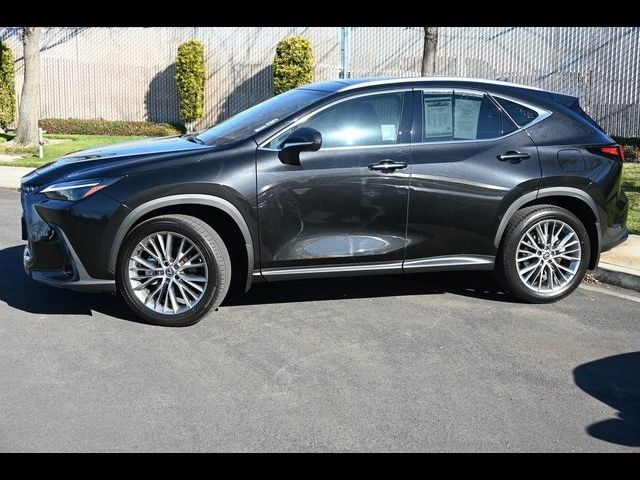 2025 Lexus NX 350 Luxury