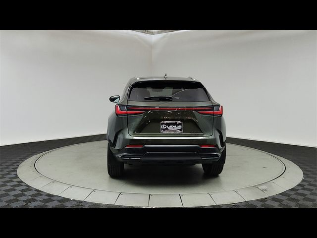 2025 Lexus NX 350 Luxury