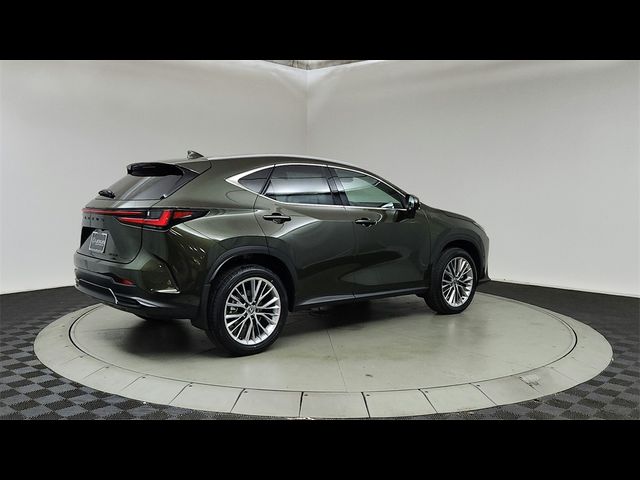 2025 Lexus NX 350 Luxury