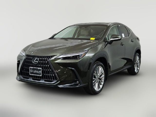 2025 Lexus NX 350 Luxury