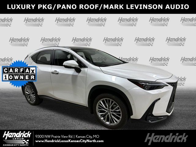 2025 Lexus NX 350 Luxury