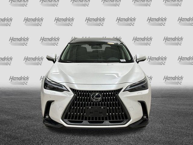 2025 Lexus NX 350 Luxury