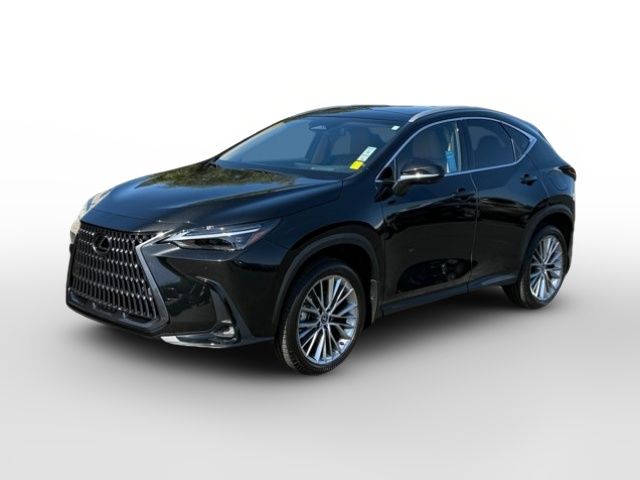 2025 Lexus NX 350 Luxury
