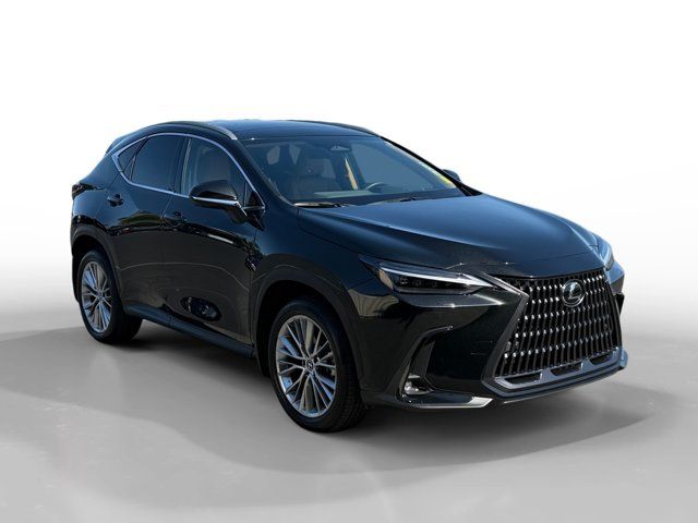 2025 Lexus NX 350 Luxury