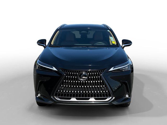 2025 Lexus NX 350 Luxury