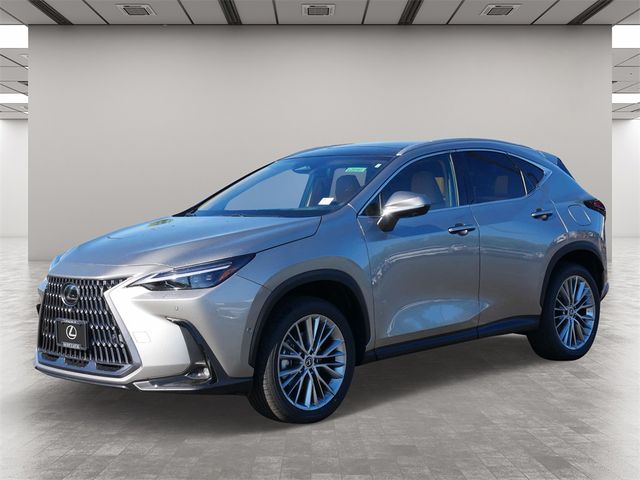 2025 Lexus NX 350 Luxury