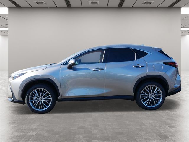 2025 Lexus NX 350 Luxury