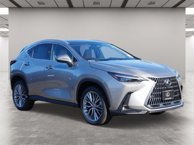 2025 Lexus NX 350 Luxury