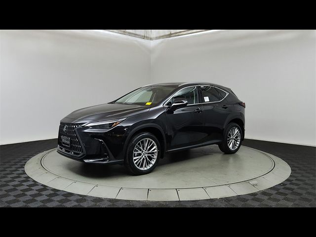 2025 Lexus NX 350 Luxury