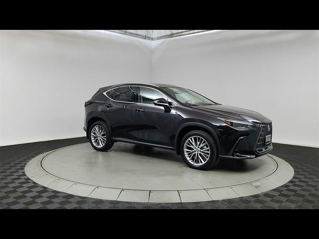 2025 Lexus NX 350 Luxury