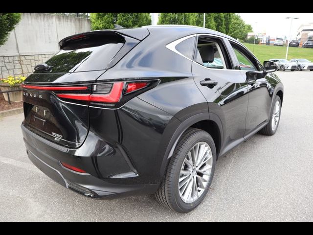 2025 Lexus NX 350 Luxury