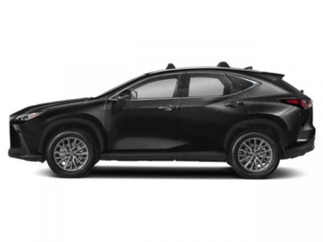 2025 Lexus NX 350 Luxury